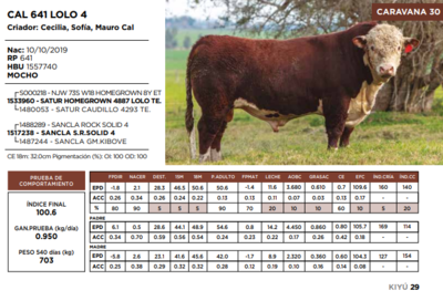 Lote CAL 641 LOLO 4  (GRUPO 2)