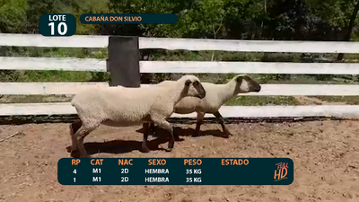 Lote LOTE 10