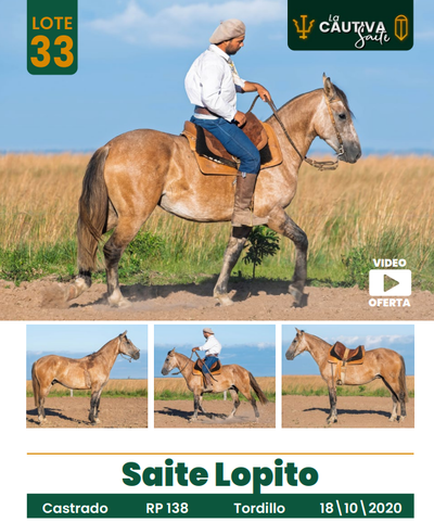 Lote LOTE 33