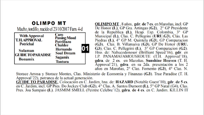 Lote OLIMPO MT