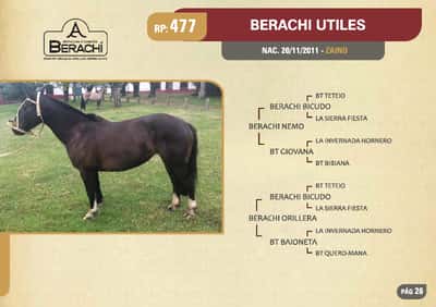 Lote RP. 477 - BERACHI UTILES - BERACHI