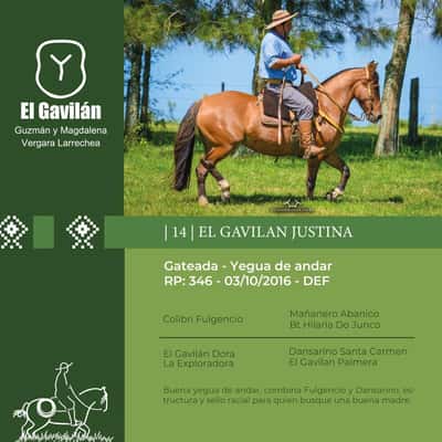 Lote El Gavilan Justina (RP 346) Cabaña "El Gavilan"