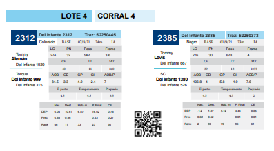 Lote Corral 4