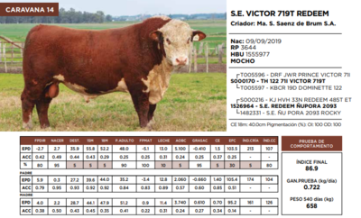 Lote S.E. VICTOR 719T REDEEM  (GRUPO 1)