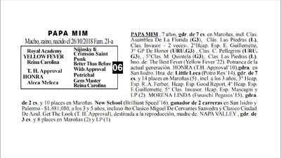 Lote PAPA MIM