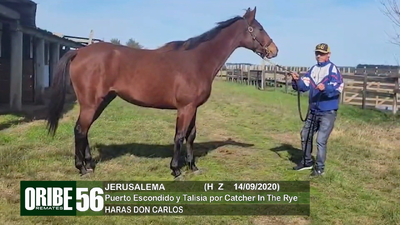 Lote Lote 56