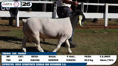 Lote LOTE 26