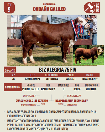 Lote LOTE 9