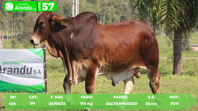 Lote LOTE 57