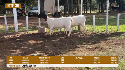Lote LOTE 30