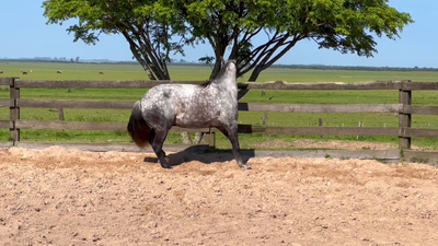 Lote Cañada Hecho a Mano