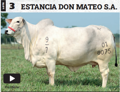 Lote LOTE 3 - PREÑECES