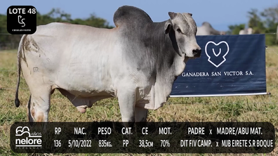 Lote LOTE 48