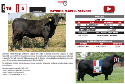 Lote LOTE 19