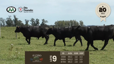 Lote 3 Toros, Artigas