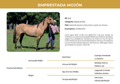 Lote Emprestada Mojón (RP 569)