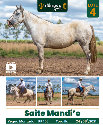 Lote LOTE 4