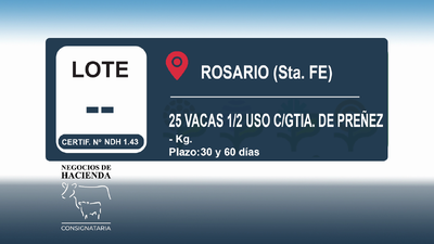 Lote 25 Vacas medio uso C/ gtia de preñez en Santa Fe, Rosario