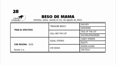  BESO DE MAMA (TRAE EL EFECTIVO -  CHE REGINA  por EQUAL STRIPES) 