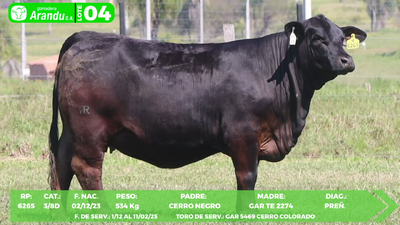 Lote LOTE 4