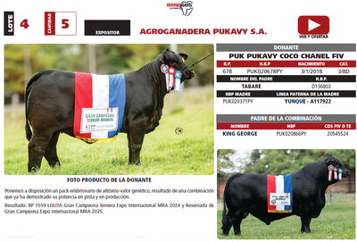 Lote LOTE 4