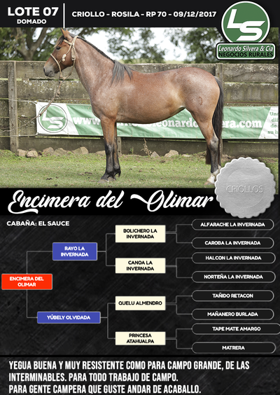 Lote ENCIMERA DEL OLIMAR