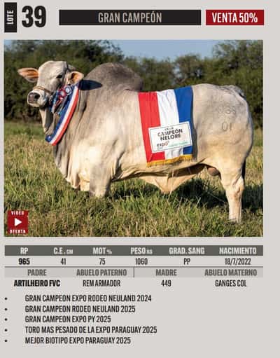 Lote LOTE 39- SALE A VENTA EL 50%