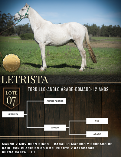  LETRISTA