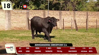Lote LOTE 18