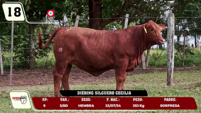 Lote LOTE 18