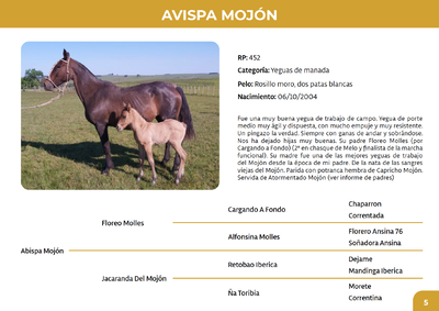 Lote Avispa Mojón (RP 452)