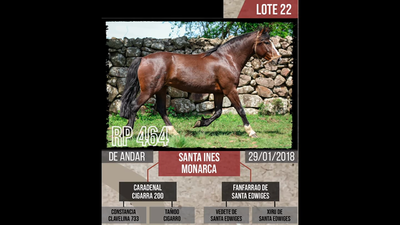 Lote Santa ines  monarca