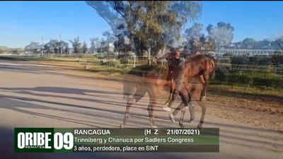 Lote Lote 9