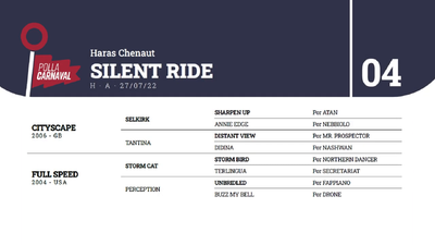 Lote SILENT RIDE