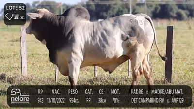 Lote LOTE 52