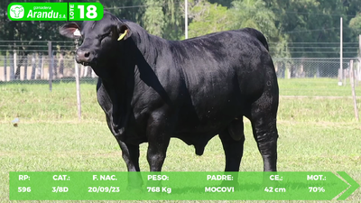 Lote LOTE 18