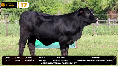 Lote LOTE 17