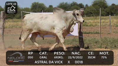 Lote LOTE 43