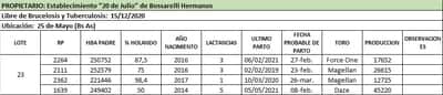 Lote Lote 23