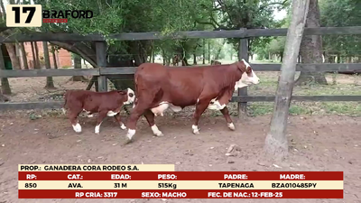 Lote LOTE 17
