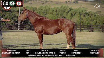 Lote LOTE 80