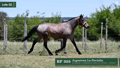 Lote Juguetona La Flechilla