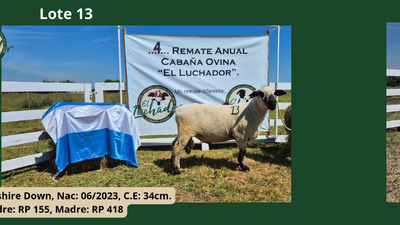 Lote PP