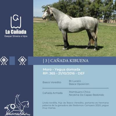 Lote Cañada Kibuena (RP 365) Cabaña "La Cañada"
