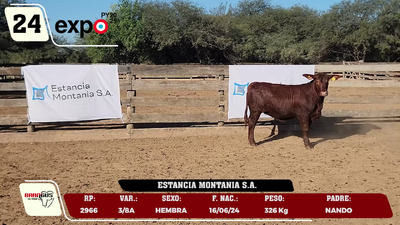 Lote LOTE 24