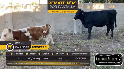 Lote 7 Terneras en La Horqueta, Colonia