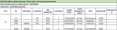 Lote Lote 20