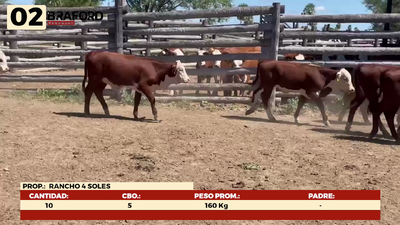 Lote LOTE 2