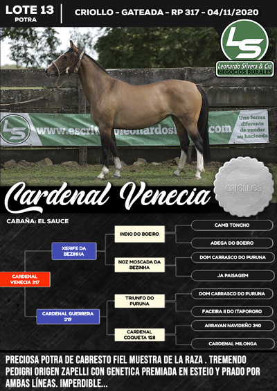 Lote CARDENAL VENECIA