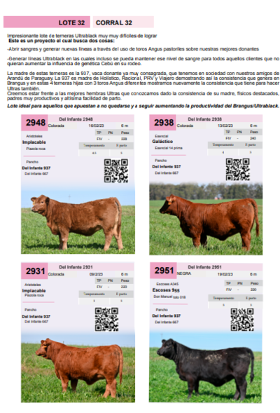 Lote Corral 32